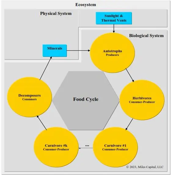 Figure 8.3.4-1 the food cycle within the physical system and the biological system.